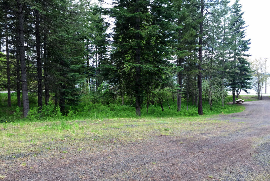 Boat Slips with Custom Homes Preserve at Gotham Bay in Coeur d'Alene